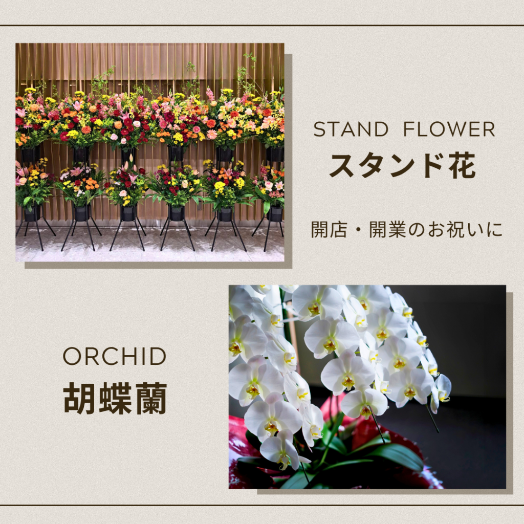 スタンド花・胡蝶蘭
