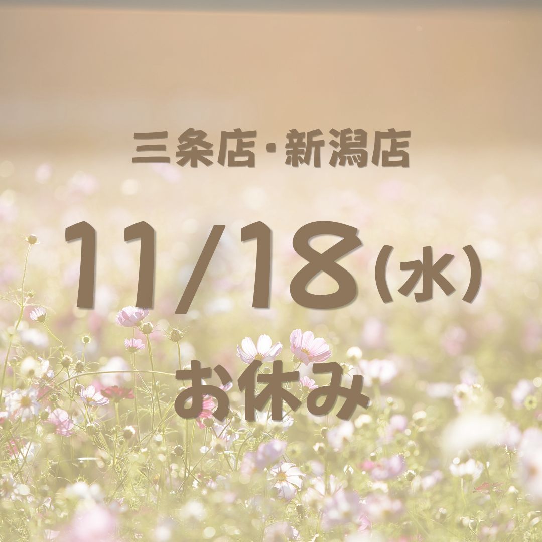 11月店休日のお知らせ